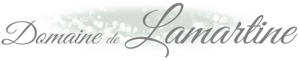 Evènements Lamartine Logo